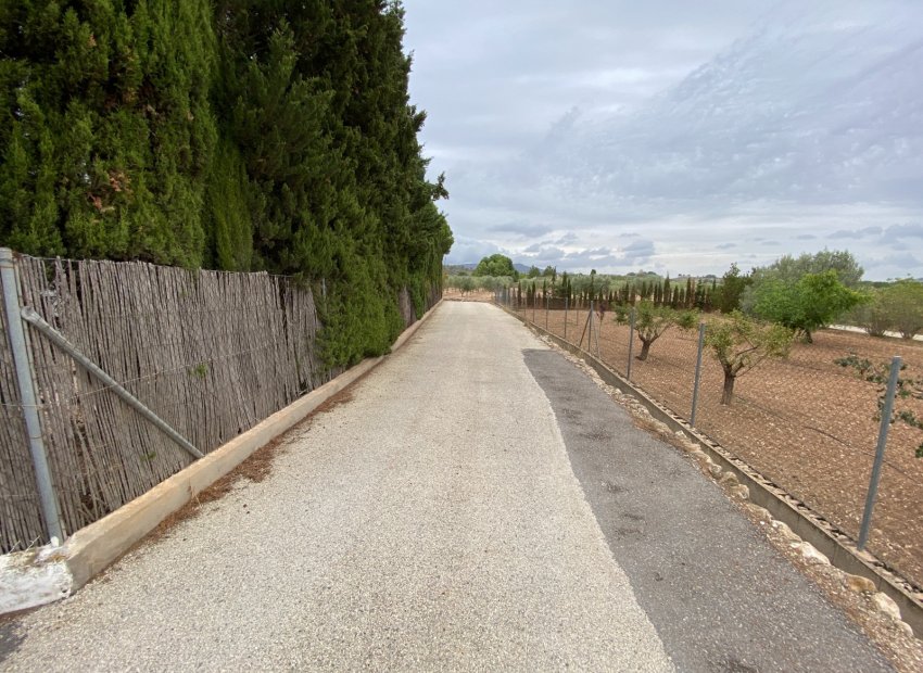 Reventa - Villa - Sax