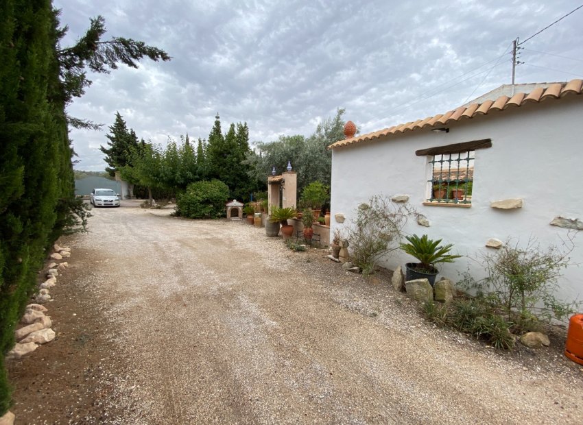 Reventa - Villa - Sax