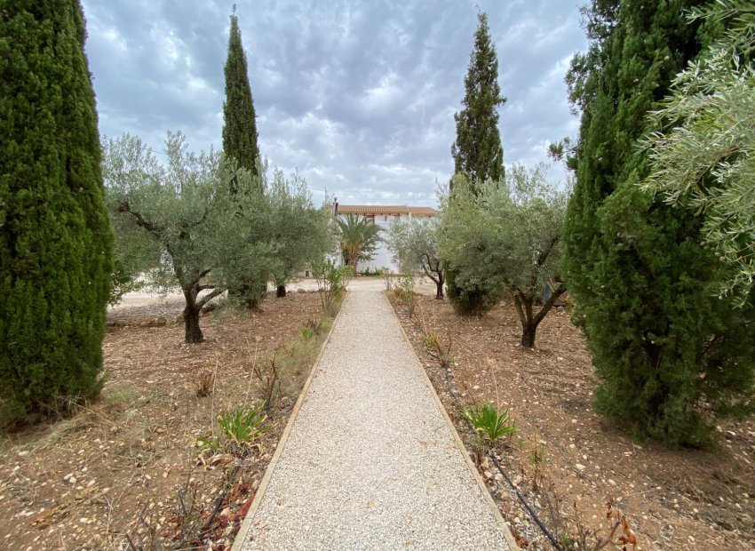 Reventa - Villa - Sax