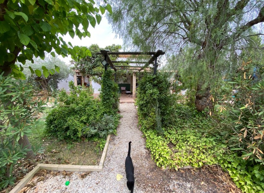 Reventa - Villa - Sax