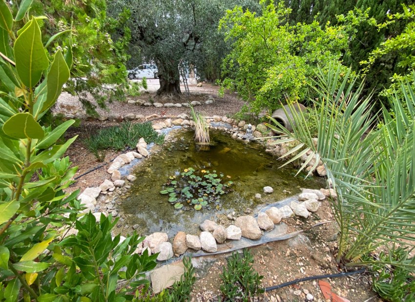 Reventa - Villa - Sax