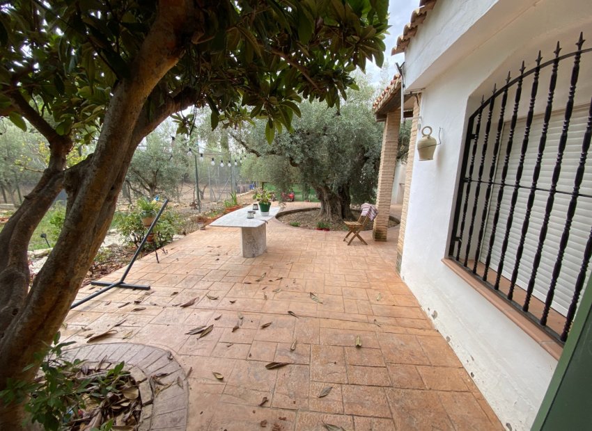 Reventa - Villa - Sax