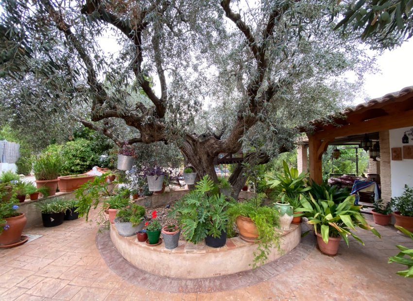 Reventa - Villa - Sax