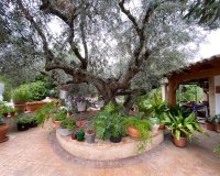 Reventa - Villa - Sax