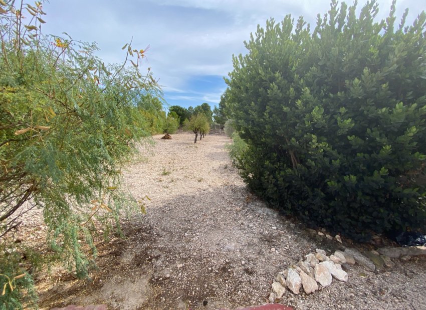 Reventa - Villa - Sax