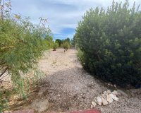 Reventa - Villa - Sax