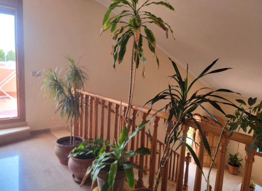 Reventa - Villa - Torrevieia - Aguas Nuevas