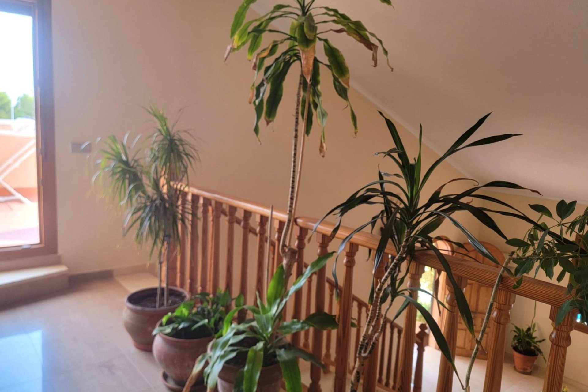 Reventa - Villa - Torrevieia - Aguas Nuevas