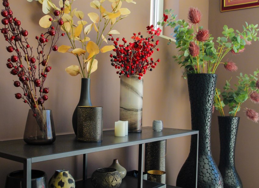 Reventa - Villa - Torrevieia - Aguas Nuevas