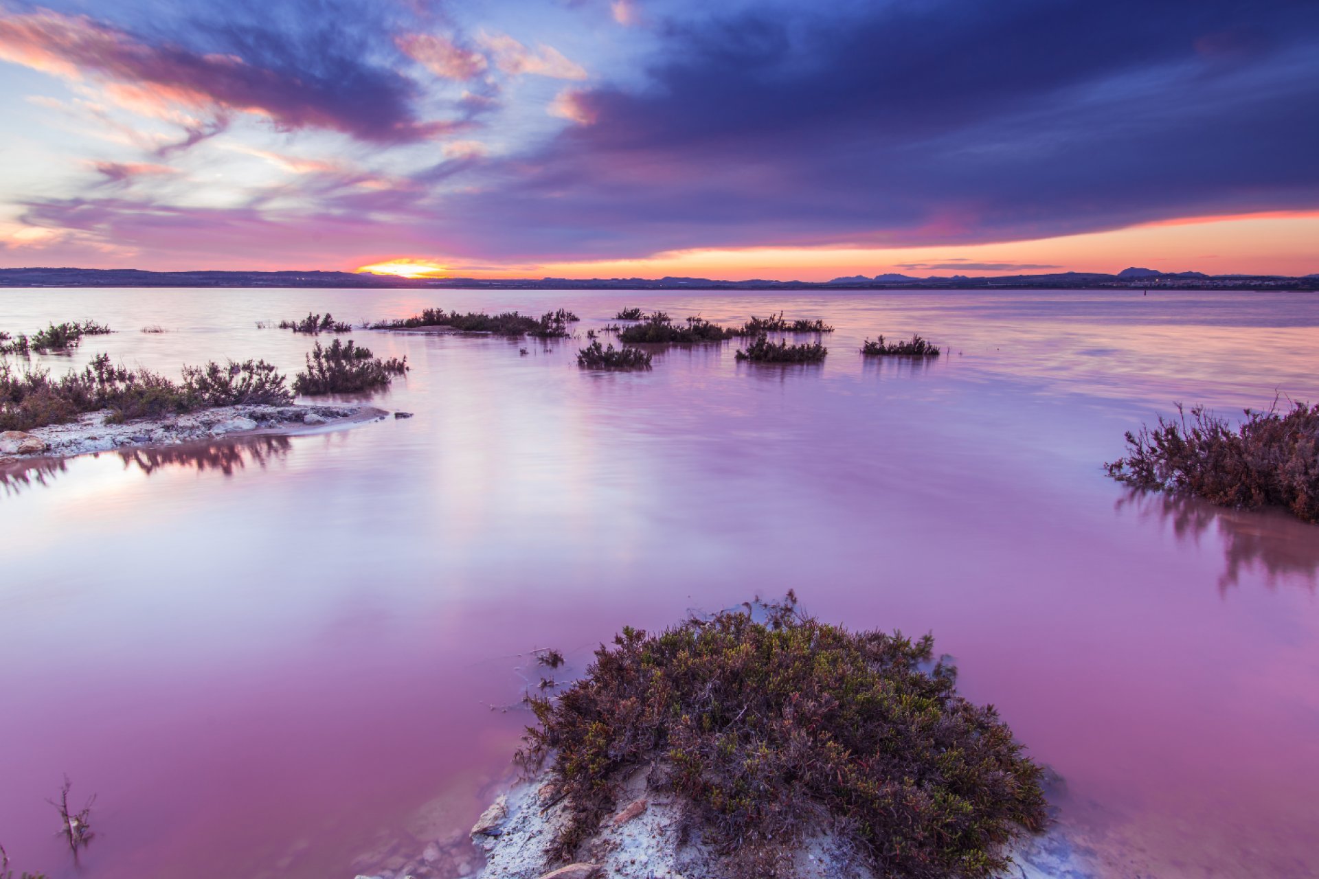 Reventa - Villa - Torrevieia - Center