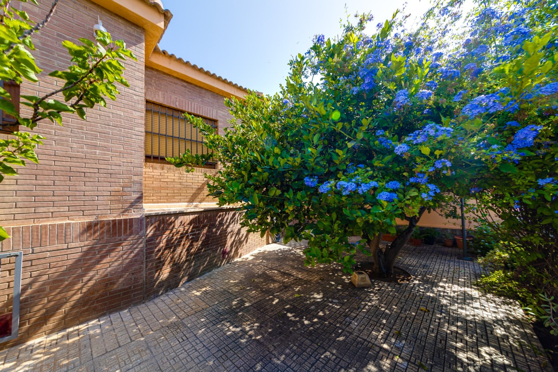 Reventa - Villa - Torrevieia - La Mata