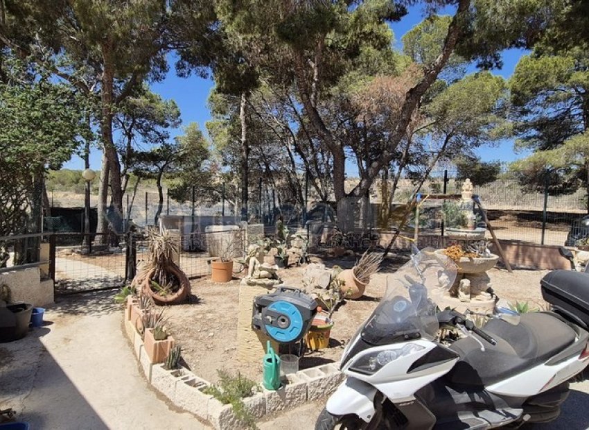 Reventa - Villa - Torrevieia - Los Balcones