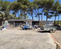 Reventa - Villa - Torrevieia - Los Balcones