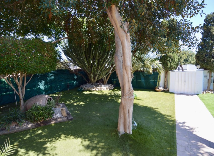 Reventa - Villa - Torrevieia - Torreta