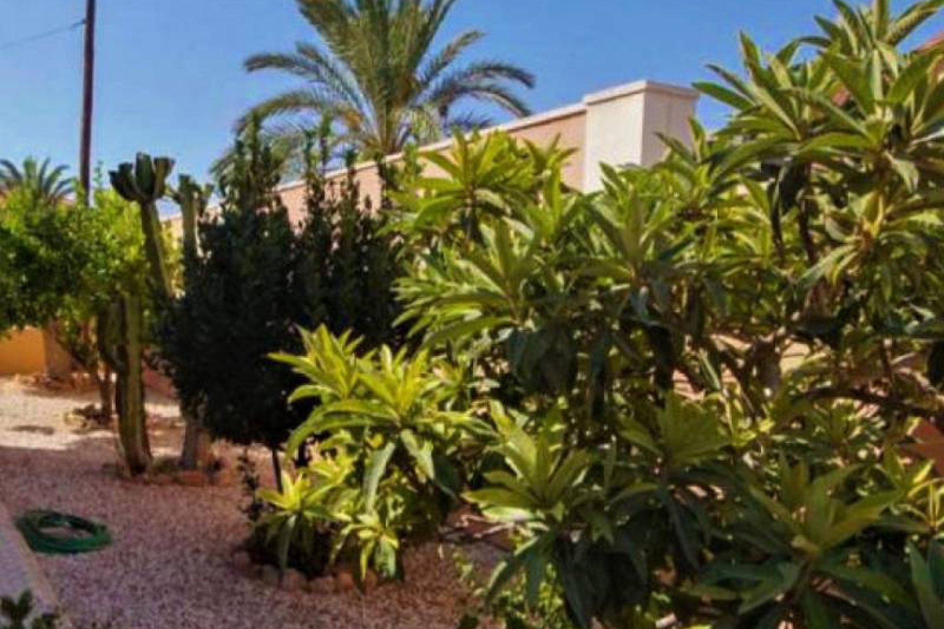 Reventa - Villa - Torrevieia - Torrevieja