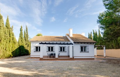 Townhouse / Duplex / Corner - New Build - Fuente Alamo - Fuente Alamo