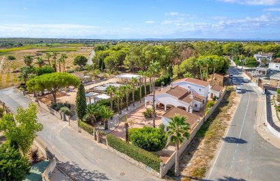 Villa - Resale - Elche - Elche