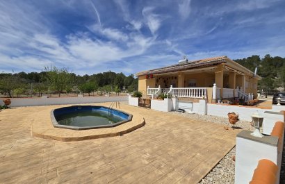 Villa - Reventa - Sax - Sax