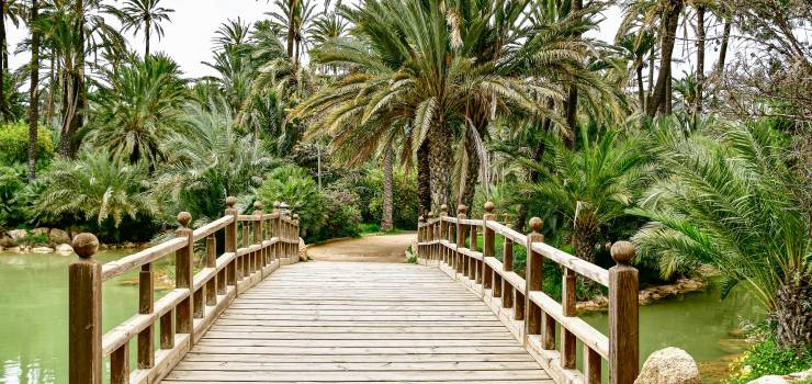 Los extranjeros ya compran más del 40% de viviendas en la provincia de Alicante
