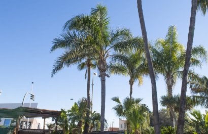 New Build - Villa - San Pedro del Pinatar