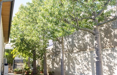 New Build - Villa - San Pedro del Pinatar