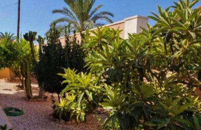 Resale - Villa - Torrevieia - Torrevieja