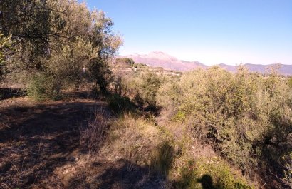 Resale - Plot / Land - Benimarfull