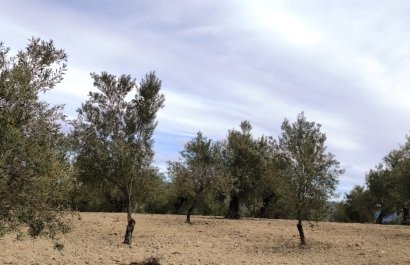 Reventa - Parcela / Terreno - Penáguila