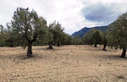 Reventa - Parcela / Terreno - Penáguila