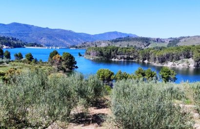 Herverkoop - Perceel / Grond - Planes