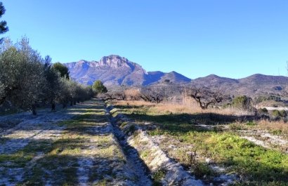 Herverkoop - Perceel / Grond - Planes