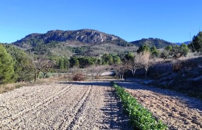 Herverkoop - Perceel / Grond - Planes