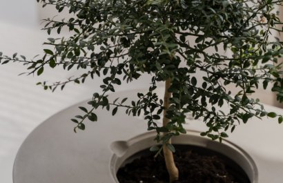 Resale - Apartment / flat - Benahavís - La Quinta