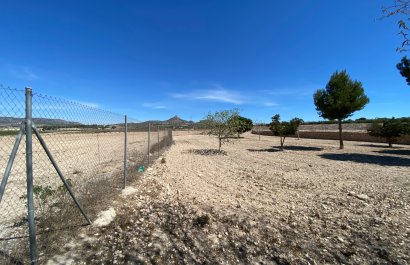 Reventa - Country House - Salinas