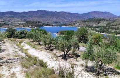 Herverkoop - Perceel / Grond - Planes