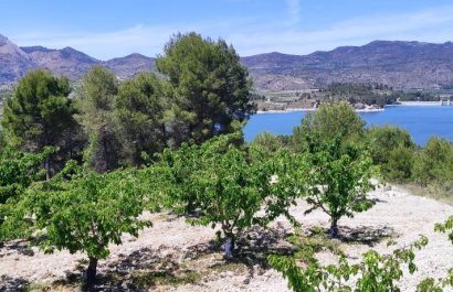 Herverkoop - Perceel / Grond - Planes