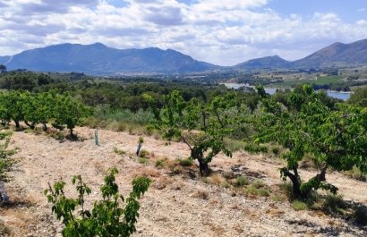 Herverkoop - Perceel / Grond - Planes