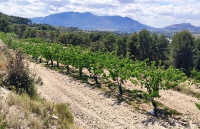 Herverkoop - Perceel / Grond - Planes