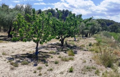 Herverkoop - Perceel / Grond - Planes