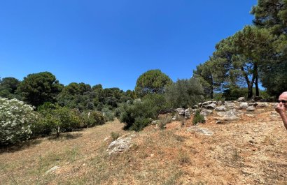 Reventa - Country House - Ronda