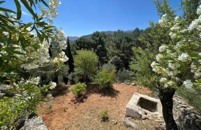 Reventa - Country House - Ronda