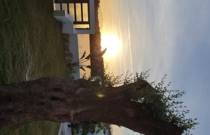 Resale - Villa - Marbella - Sierra Blanca