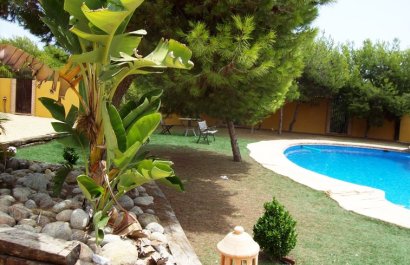 Resale - Country House - Ciudad Quesada - Lo Pepin