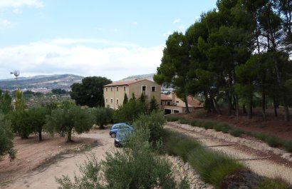 Reventa - Country House - Ibi - Ibi - Country