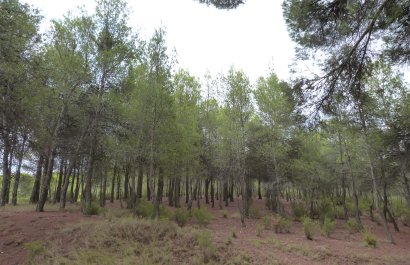 Reventa - Country House - Ibi - Ibi - Country