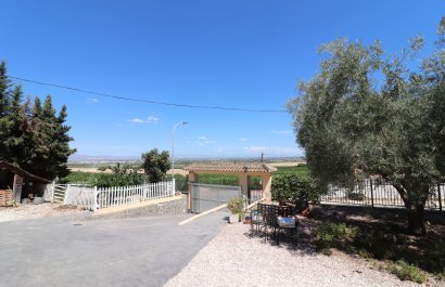 Resale - Villa - Algorfa - Lomas de La Juliana