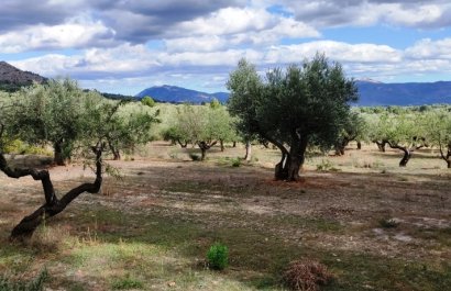 Herverkoop - Country House - Muro de Alcoy