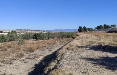 Resale - Country House - Agullent