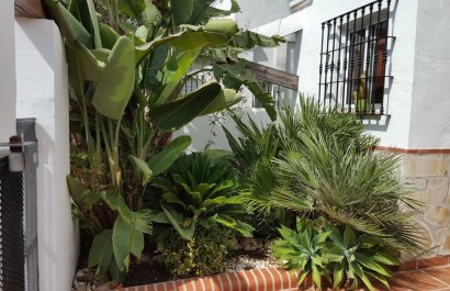 Resale - Townhouse / Duplex / Corner - Marbella - Los Naranjos de Marbella