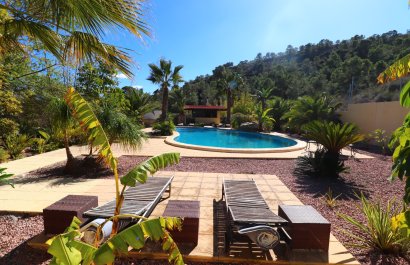 Reventa - Country House - Aspe - Aspe - Country